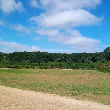 12 Person In Ansager-by Traum